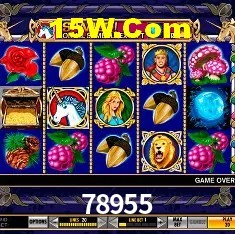 Provedores de Jogos 78955